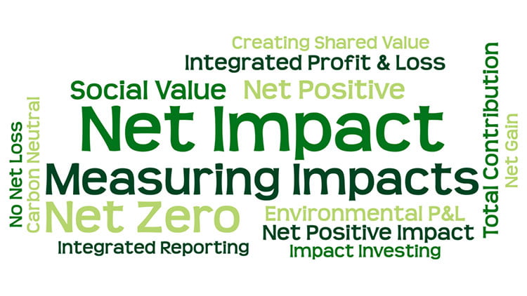 Net Impact Approaches: Bringing the stands together conference